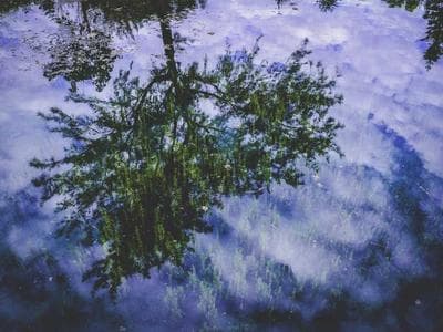 Potato Head Beach Club