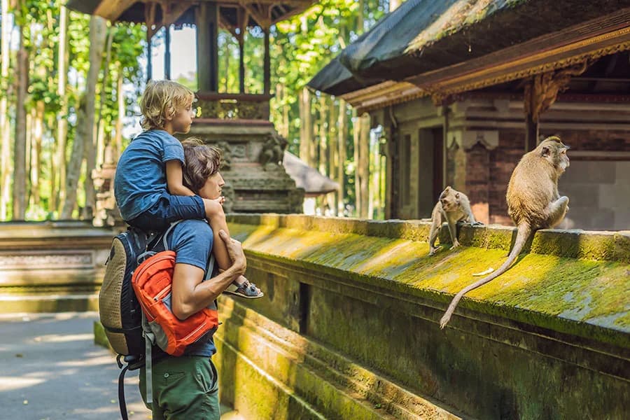 Sacred Monkey Forest Sanctuary