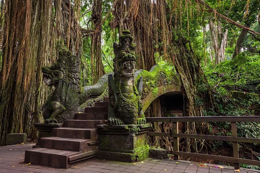 Sacred Monkey Forest Sanctuary